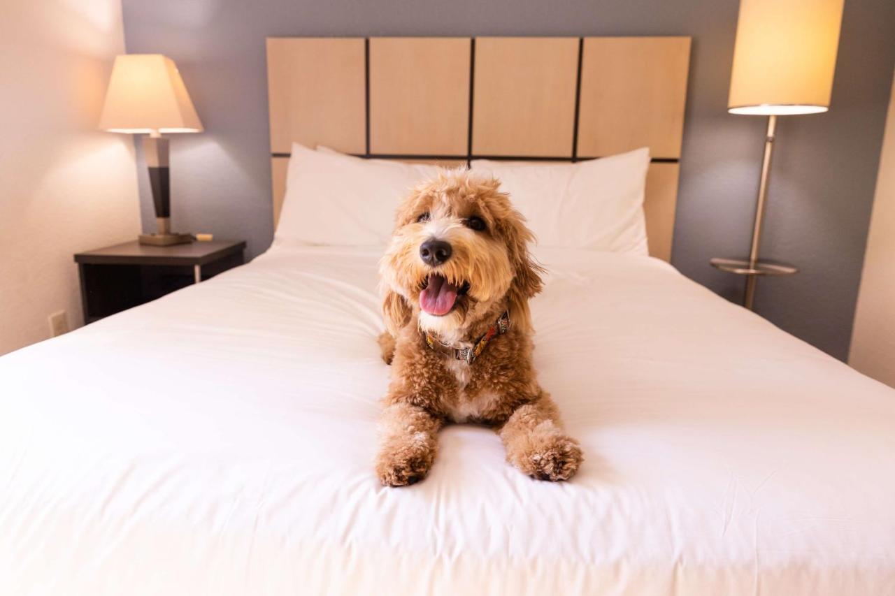 Sonesta Simply Suites Chicago Libertyville Extérieur photo